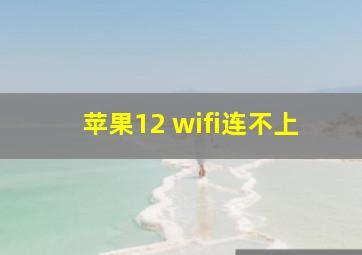 苹果12 wifi连不上